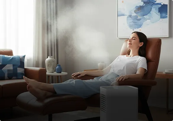 Climatizadores Para Residências